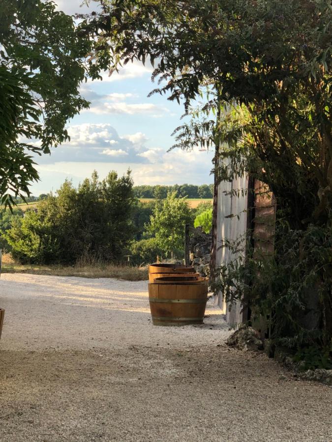 Le Gite De La Maison Des Chats - Gite En Quercy Saint-Amans-du-Pech 외부 사진