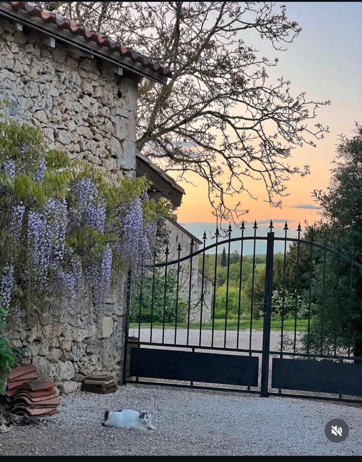 Le Gite De La Maison Des Chats - Gite En Quercy Saint-Amans-du-Pech 외부 사진
